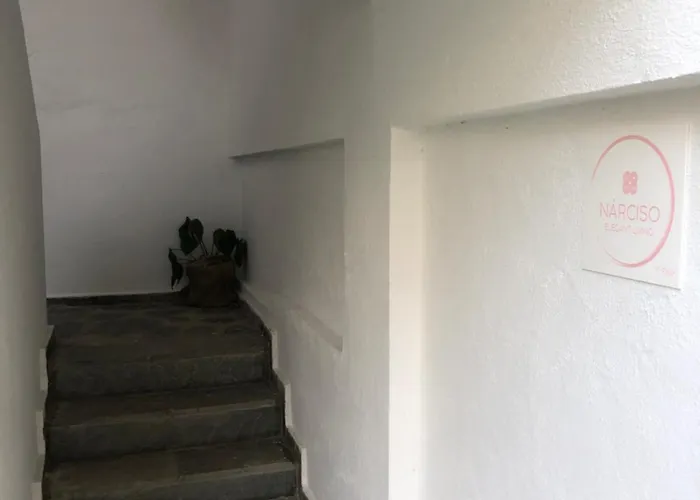 Apartamento Nárciso, Elegant Living