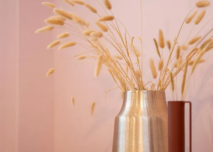 Nárciso, Elegant Living Siviri