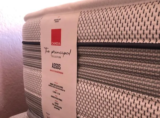 Narciso, Elegant Living *